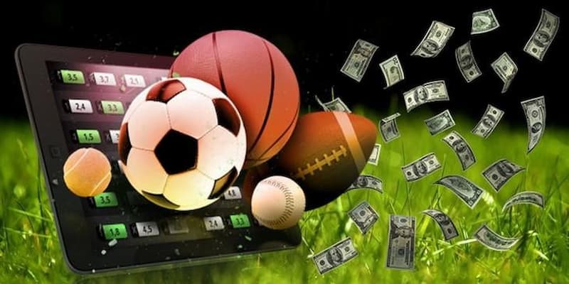 Chiến Lược Cá Cược Thể Thao 24/7 Từ Chuyên Gia 99OK 3 thể thao 24/7